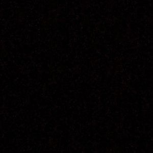 Meet your Posher, Wyatt